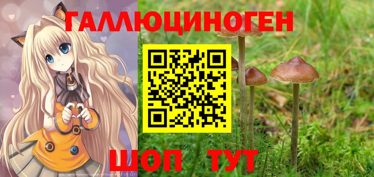 Псилоцибиновые грибы Cubensis Баксан