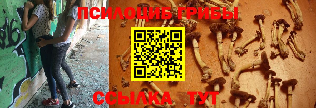 Баксан  Галлюциногенные грибы прущие грибы  Галлюциногенные грибы Magic Shrooms  Вход с VPN 